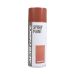 Auto Choice PMSPROP 400ml Red Oxide Primer Spray Paint Single Pack